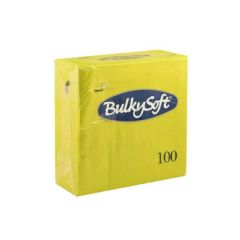 BulkySoft napkins 33x33cm 2-ply. 1/4 kiwi 100 pcs/pack
